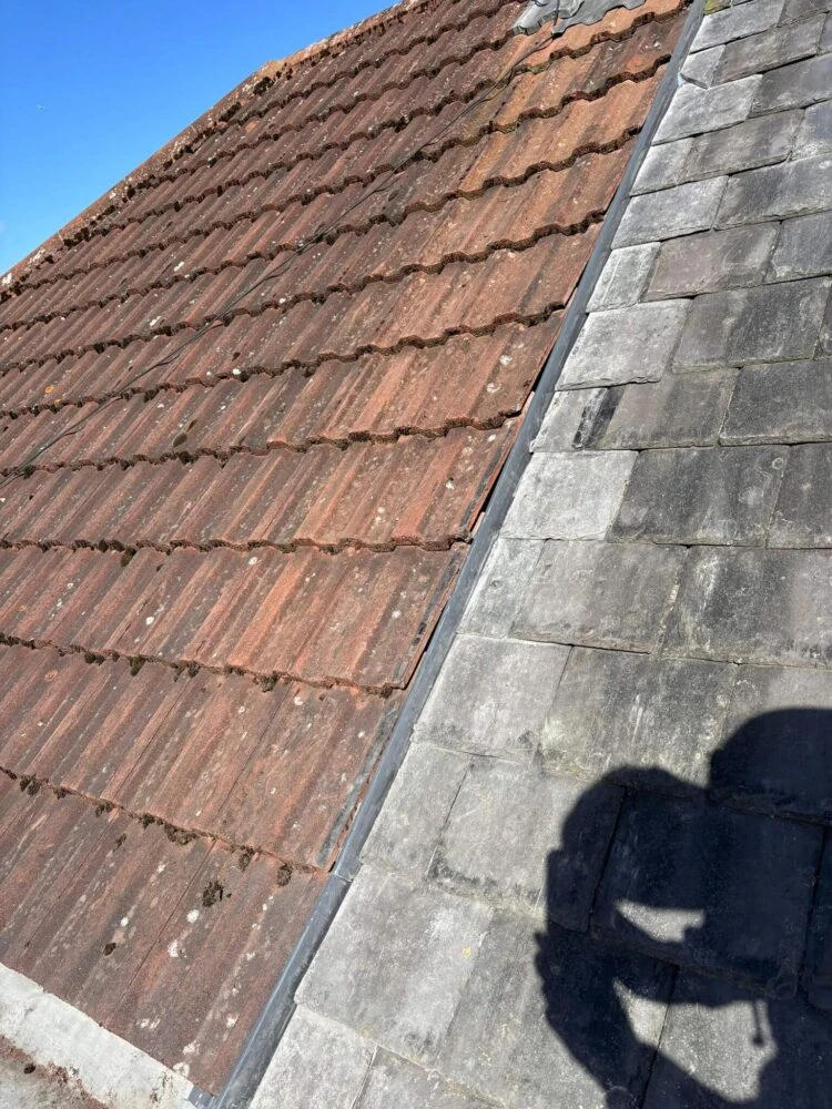 Rapid Roofline Project