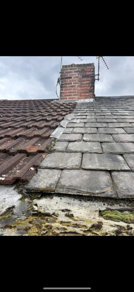 Rapid Roofline Project