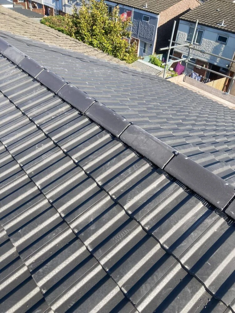 Rapid Roofline Project