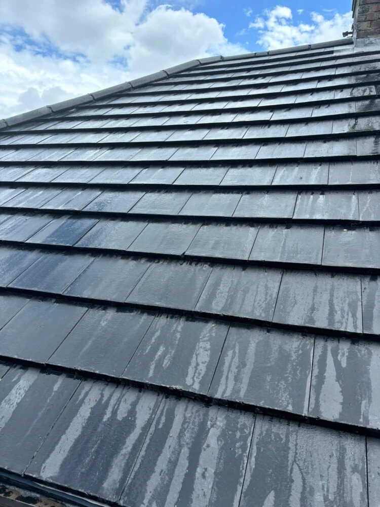 Rapid Roofline Project