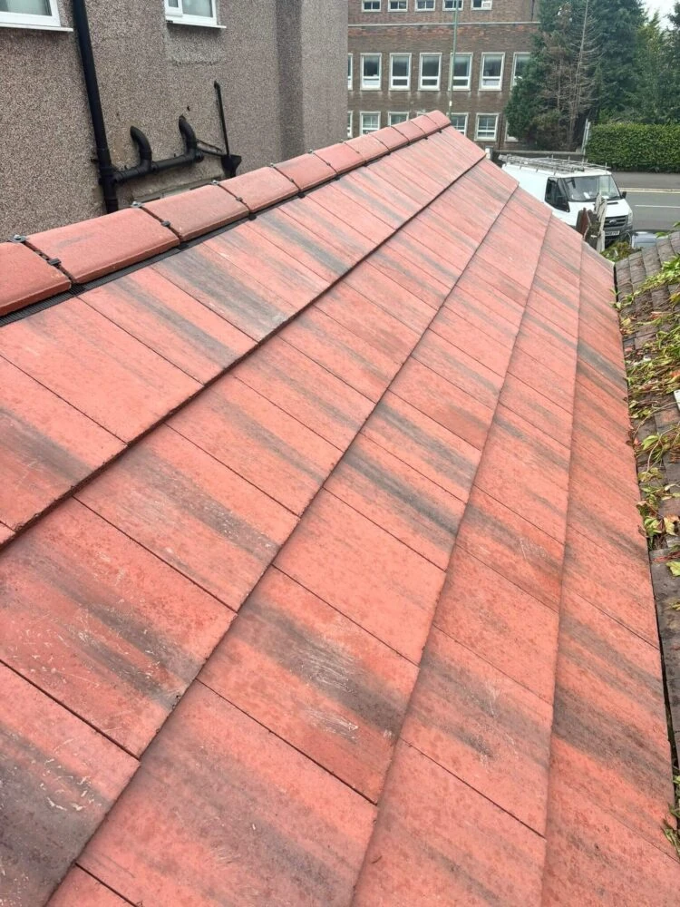 Rapid Roofline Project