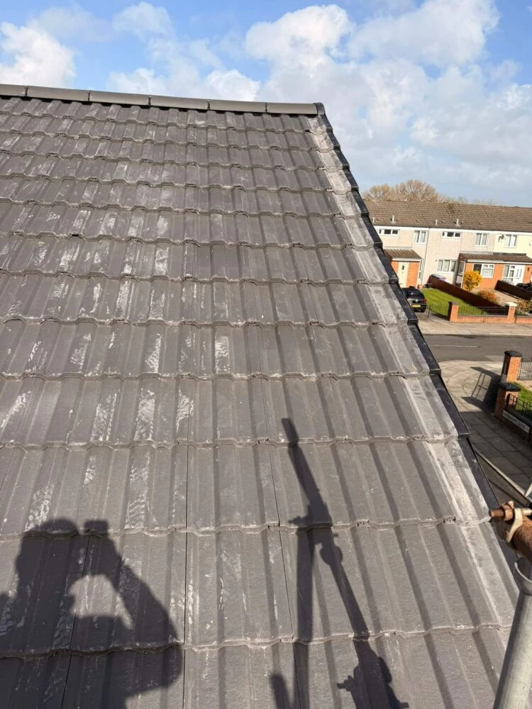 Rapid Roofline Project